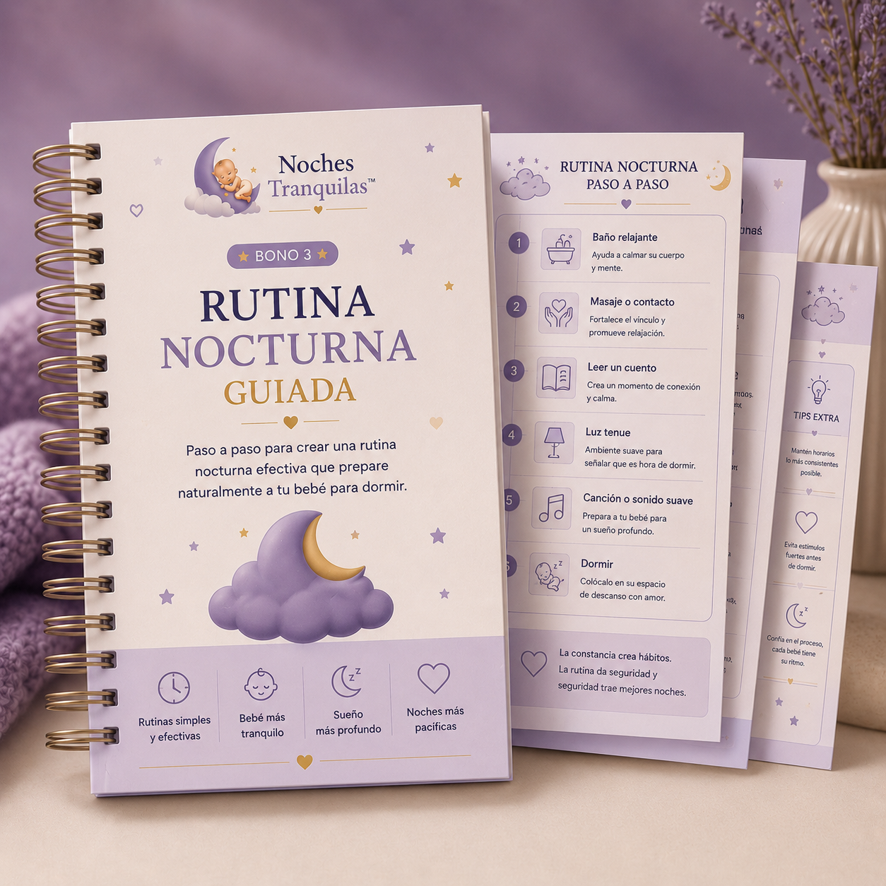 Rutina Nocturna Guiada